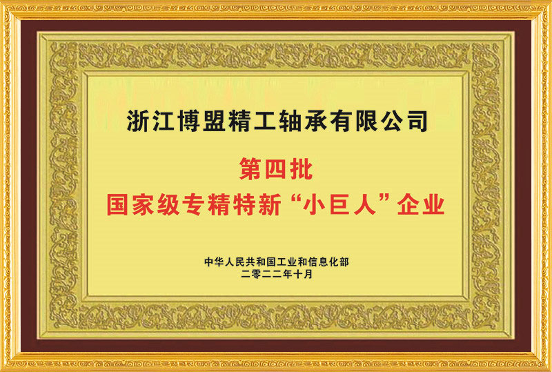 國家工信部專(zhuān)精特新小巨人